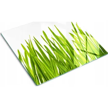 Obraz Kuchyňská Multifunkční Ozdobná Deska z Tvrzeného Skla Tráva 60x52 cm