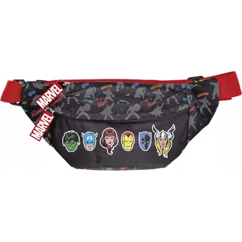 Ledvinka Paso ledvinka LEDVINKA NA PAS vícebarevná