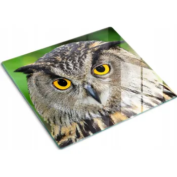 Obraz Kuchyňská Multifunkční Ozdobná Deska z Tvrzeného Skla Sova 60x52 cm