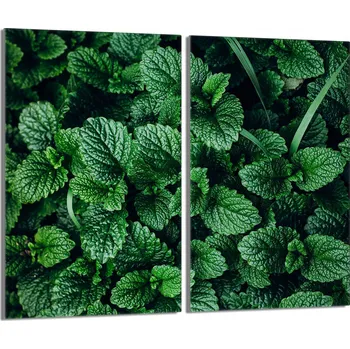 Kuchyňské prkénko Krájecí deska TMK ArtDeko sklo 2 ks