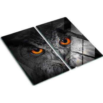 Obraz Dekorativní skleněné desky na servírování Sova s ďábelskýma očima 2x30x52 cm