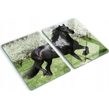 Obraz Kuchyňské Multifunkční Dekorativní Skleněné Desky Květiny koně 2x40x52 cm