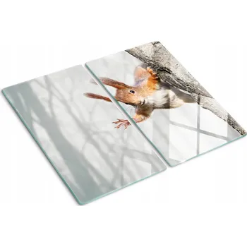 Obraz Kuchyňská Multifunkční Ozdobná Deska Tvrzené Sklo Veverka 60x52 cm