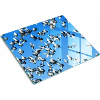 Obraz Multifunkční Dekorační Skleněná Deska do Kuchyně Hejno holubů 60x52 cm