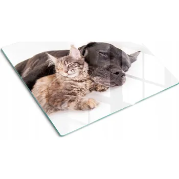 Obraz Kuchyňská Multifunkční Ozdobná Deska Tvrzené Sklo Pes a kočka 60x52 cm