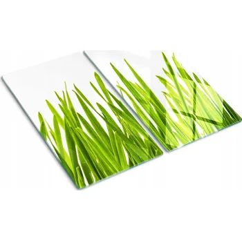 Obraz Kuchyňské Multifunkční Dekorativní Desky Tvrzené Sklo Tráva 2x30x52 cm