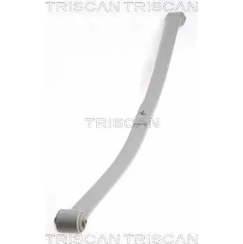 Paket pružin TRISCAN 8765 29019