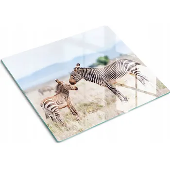 Obraz Skleněná kuchyňská deska na krájení s ozdobnou grafikou Hory Zebra 60x52 cm