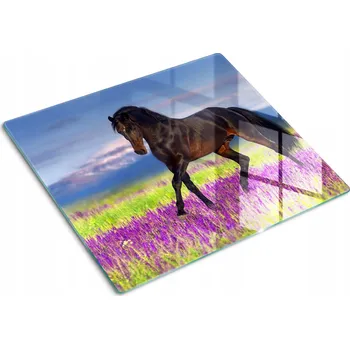 Obraz Deska z Tvrzené Sklo s Ozdobným Vzorem - Levandulové pole, 60x52 cm