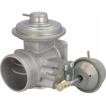 Ventil palivového systému Pierburg 7.28290.11.0 Ventil EGR