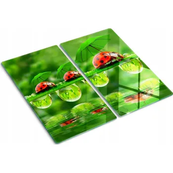 Obraz Skleněné kuchyňské desky na krájení s ozdobnou grafikou Beruška 2x30x52 cm