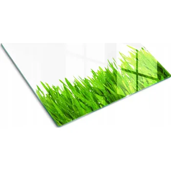 Obraz Multifunkční kuchyňská dekorativní deska z Tvrzené Sklo s motivem Tráva 60x52 cm