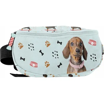 Ledvinka Paso ledvinka LEDVINKA NA PAS vícebarevná