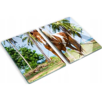 Obraz Kuchyňské Multifunkční Dekorativní Skleněné Desky Kůň Pinto 2x40x52 cm