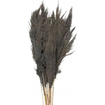 umělá květina Sušená Pampa Tráva Kytice 100 cm F Clayre & Eef