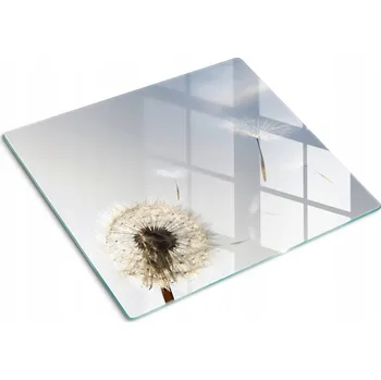 Obraz Kuchyňská multifunkční dekorativní deska s tvrzeným Pampeliška 60 x 52 cm