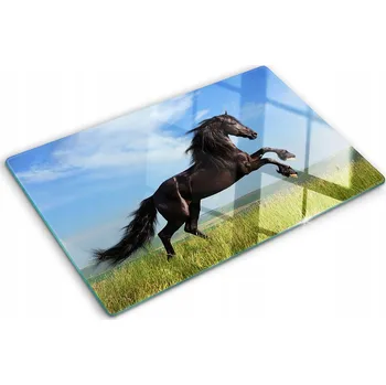 Obraz Dekorativní deska z Tvrzené Sklo na krájení Černý kůň na louce 80x52 cm