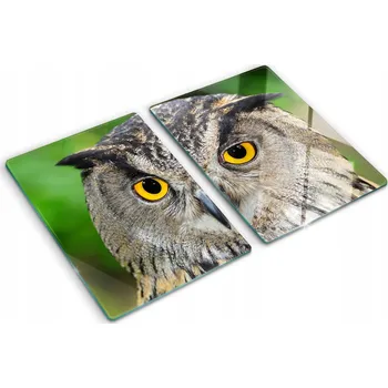 Obraz Sada tvrzených skleněných kuchyňských desek S Potiskem Sova 2x40x52 cm
