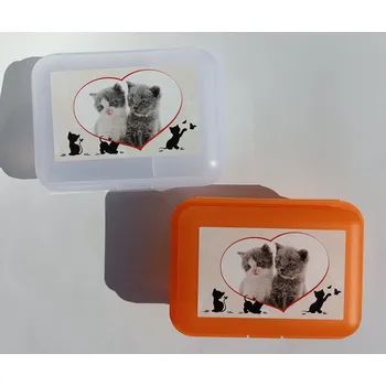 Svačinový box TVAR Dětský svačinový box dělený - Koťata