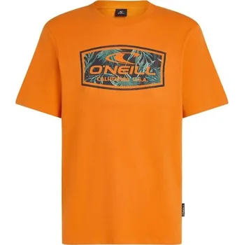 Pánské oblečení Pánské tričko O'Neill GRAPHIC S Oranžová, Tyrkysová, Černá