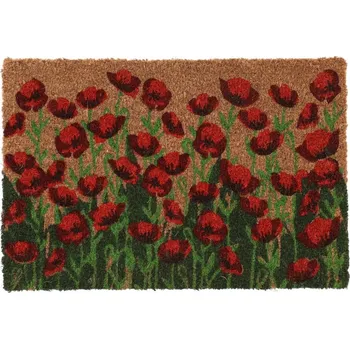 Rohožka Rohožka z kokosového vlákna 40x60 cm - Esschert Design ID_1505486