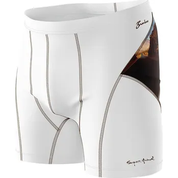 Pánské termoprádlo Pánské funkční trenýrky ROUTE 66 bílá Bamboo Ultra - Hnědá / XXL