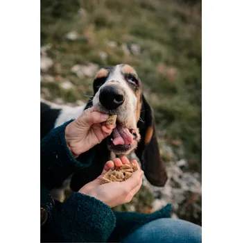 Pamlsek pro psa Pamlsky pro Ledvinovou dietu - Kuřecí Renal s bylinkami a nízkým fosforem Hmotnost: 50 g