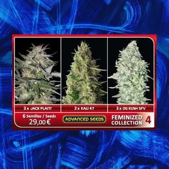Semeno Advanced Seeds - Feminized Collection #4 6 ks