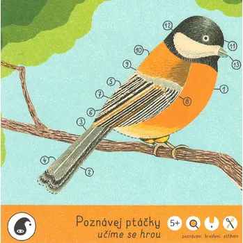 Bystrá hlava Poznávej ptáčky - učíme se hrou