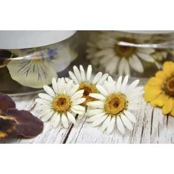 Jedlá dekorace na dort Sugar and Cakes ROSIE ROSE - SUŠENÉ KVĚTY SEDMIKRÁSKY 15ks