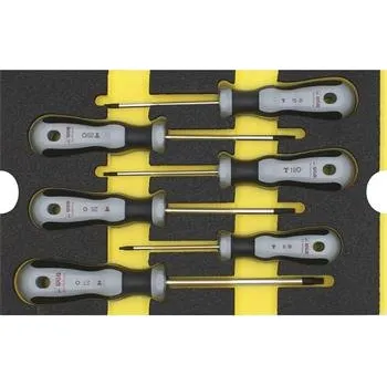 Šroubovák WGB Moflex Modul M sada šroubováků TX 6250 6 dílná