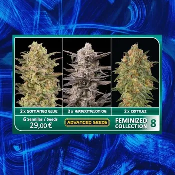 Semeno Advanced Seeds - Feminized Collection #8 6 ks