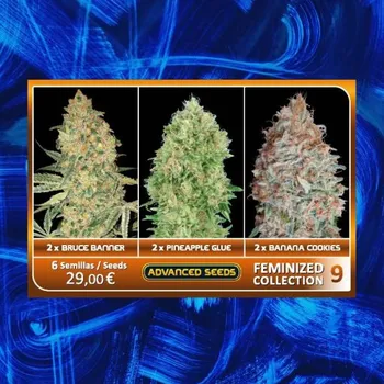 Semeno Advanced Seeds - Feminized Collection #9 6 ks