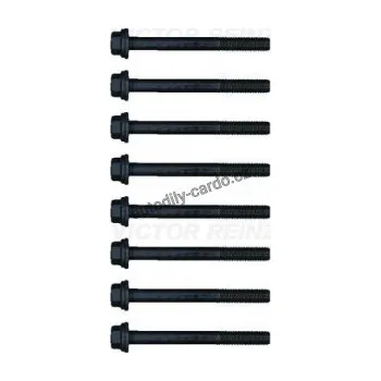 Těsnění motoru Sada šroubů pro hlavy válcu VICTOR REINZ (VR 14-32355-01)