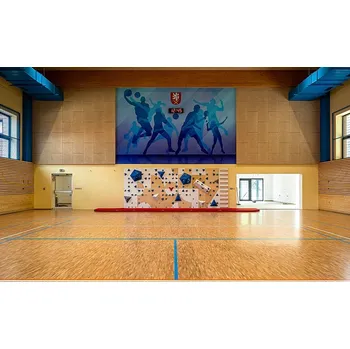 Horolezectví Lezecká stěna do tělocvičny BLOCKids 10