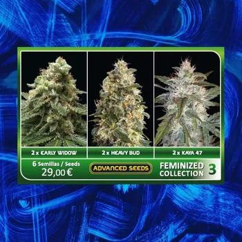 Semeno Advanced Seeds - Feminized Collection #3 6 ks