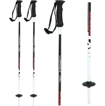 Sjezdová hůlka TecnoPro Team