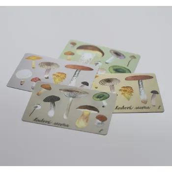 Pohlednice - autorská ilustrace