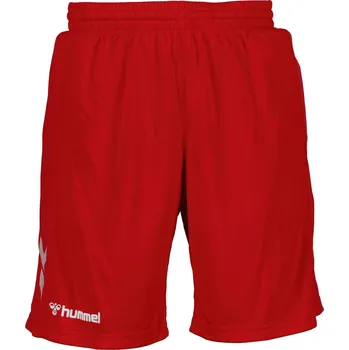 Oblečení a móda Kraťasy Hummel True Red 1026549 Medium