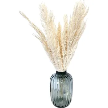 umělá květina Sušená pampová tráva (pampas) Plumero Silvestre bělená svazek 3ks