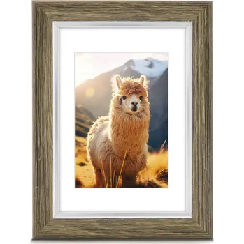 Rám na obraz Hama rámeček plastový LIMA, olivová, 30x40 cm