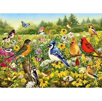 Puzzle RAVENSBURGER Ptáci na louce 500 dílků