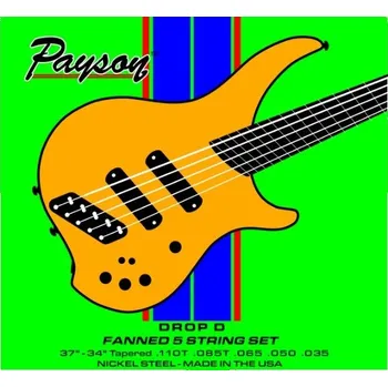 Struna pro kytaru a smyčcový nástroj Payson Fanned NS 5 Drop D + prodloužená záruka 3 roky