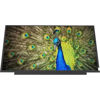 Náhradní displej pro notebook LCD N173FGA-E34 Rev. C3 C4 (LCD LED TN matný 17,3 " 1600 x 900 019)