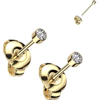 Náušnice Steel Edge Titanové náušnice pecky SET23ER02GD Průměr mm: 2,5mm