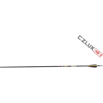 Sanlida Dragon 8 Carbon Arrows ID6.2 12ks (Karbonové šípy Sanlida Dragon 8 - 12ks)