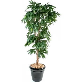 umělá květina Umělý strom Mango - přírodní kmen, 180cm