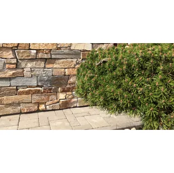 Obklad Kámen obklad Kvarcit žlutý, formát Z balení: 0,33m2, Formát: plošný díl