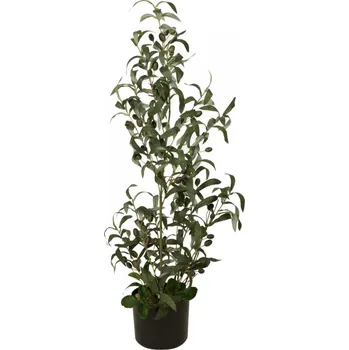 umělá květina EuroPalms Umělý olivovník s černými plody 90 cm