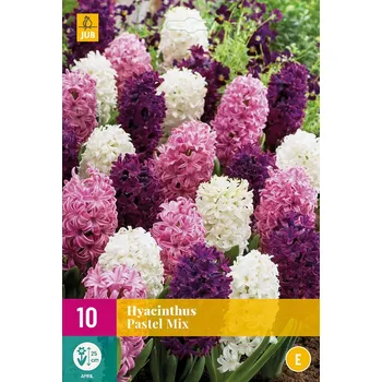 Cibulovina Hyacint Pastel Mix (10 cibulí, směs)
